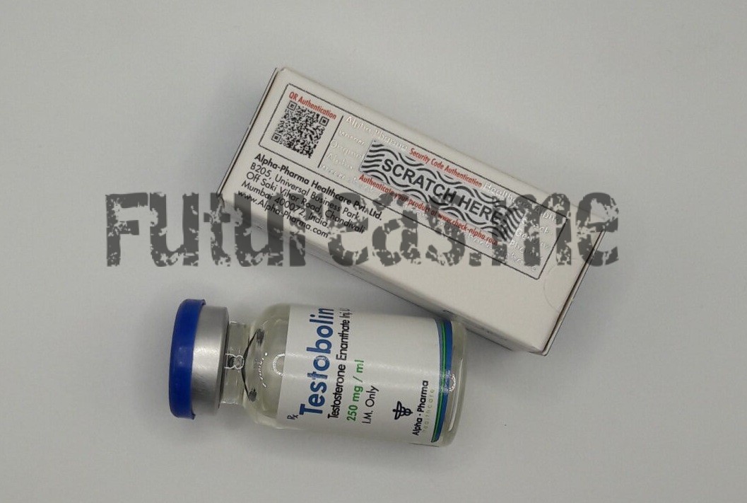 Buy Alpha Pharma Testosterone Enanthate online – genuine product